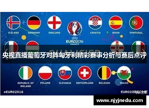 央视直播葡萄牙对阵匈牙利精彩赛事分析与赛后点评