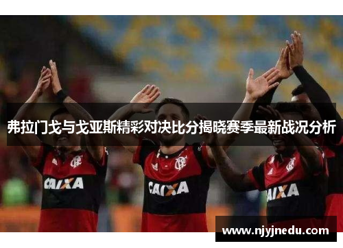 弗拉门戈与戈亚斯精彩对决比分揭晓赛季最新战况分析
